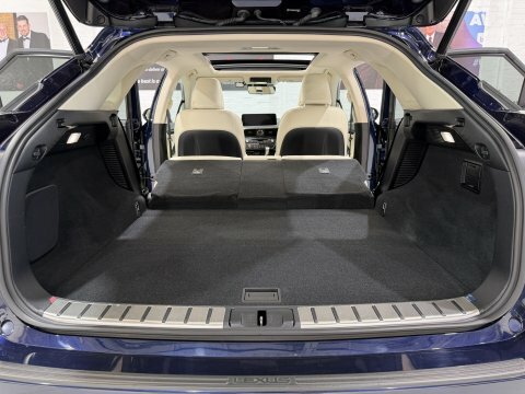 Lexus RX 450H 3.5 F-sport With Takumi Pk Pan Roof Black #33