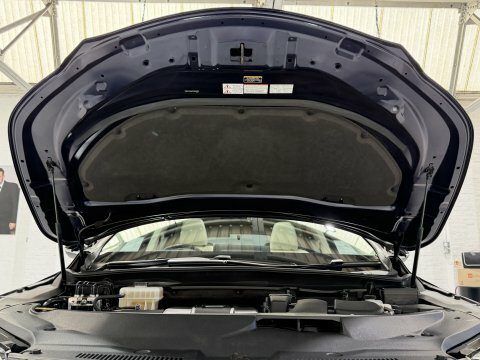 Lexus RX 450H 3.5 F-sport With Takumi Pk Pan Roof Black #21