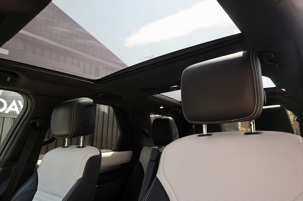 Land Rover Discovery Discovery Sport R-dynamic Hse D Mhev Silver #8