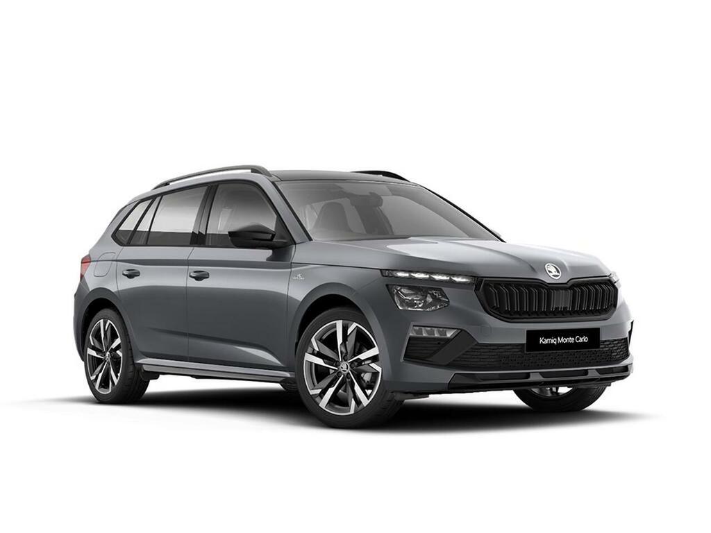 Skoda Kamiq 1.0 Tsi 116Ps Se Edition Silver #21