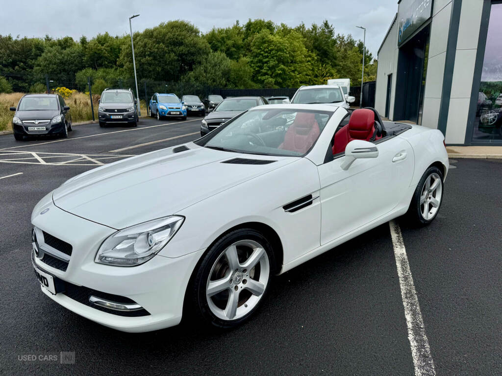 Mercedes-Benz SLK 2.1 Slk250 Cdi Red #11