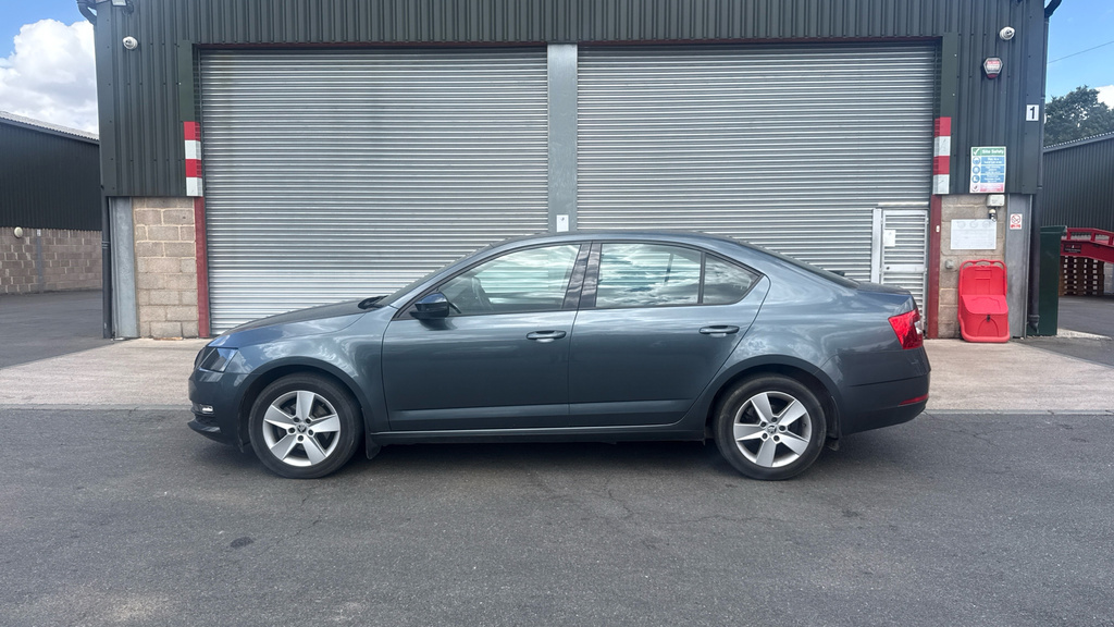 Skoda Octavia 2.0 Tdi Se L Dsg Euro 6 Ss  #19