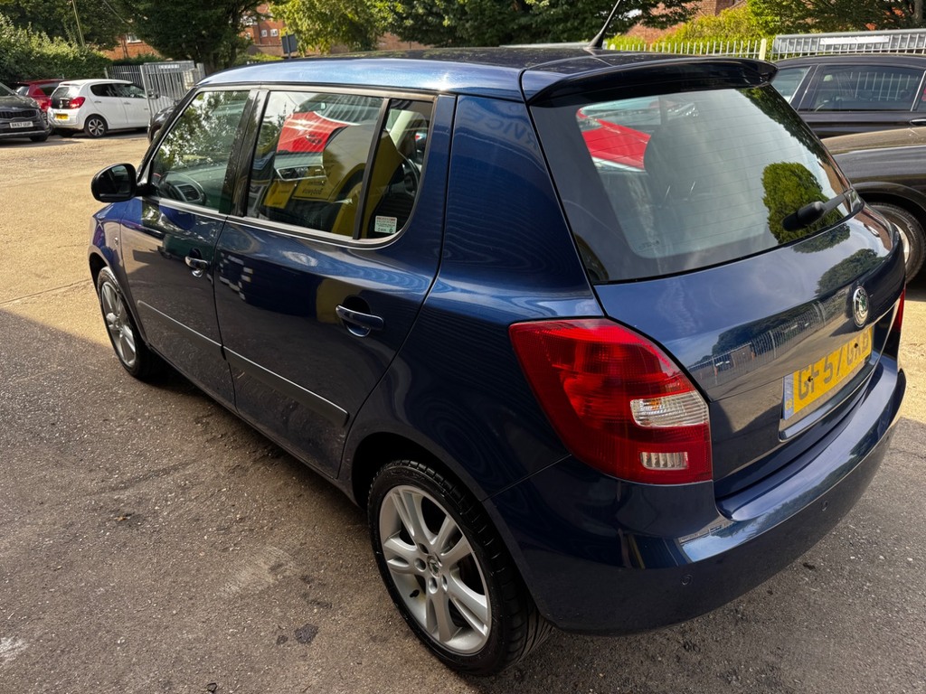 Skoda Fabia 1.9 Tdi Pure Drive Elegance Estate Manu Beige #19