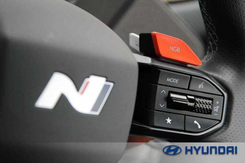 Hyundai Ioniq 5 Ultimate Grey #19