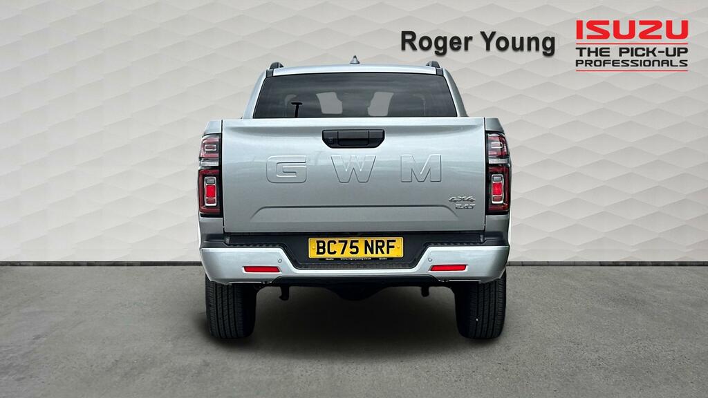 Great Wall POER300 2.4D Ultra 4Wd BC75NRF Silver #6