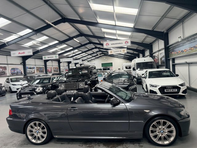 BMW 3 Series 2.0 318I Se Euro Silver #14