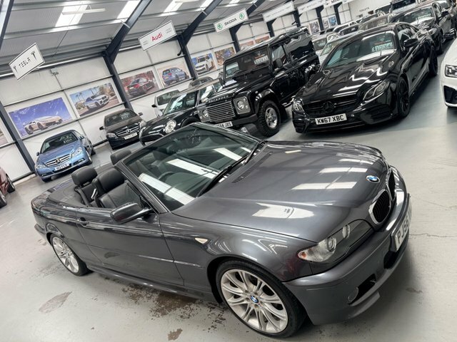 BMW 3 Series 2.0 318I Se Euro Silver #12
