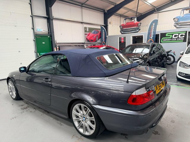 BMW 3 Series 2.0 318I Se Euro Silver #10