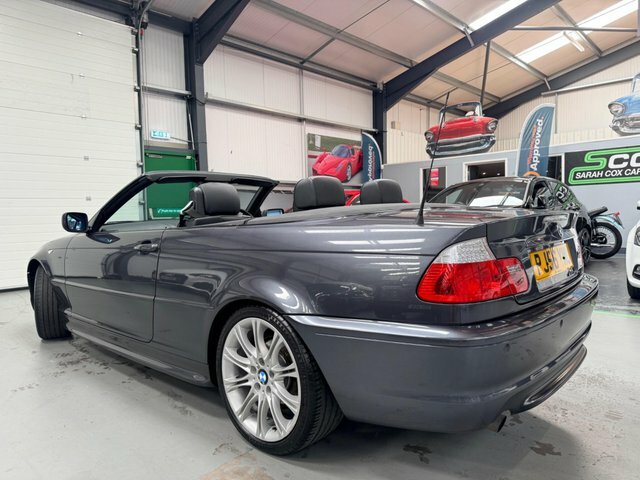 BMW 3 Series 2.0 318I Se Euro Silver #8