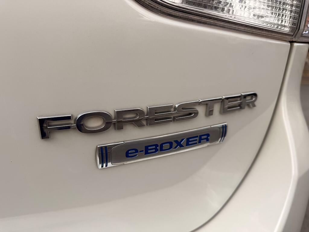 Subaru Forester Subaru Estate 2.0I E-boxer Xe Lineartronic Gold #24