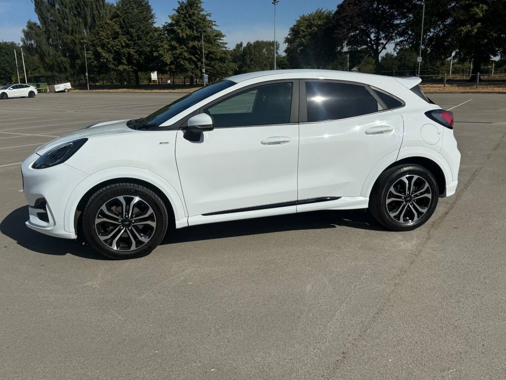 Ford Puma 1L St-line White #6