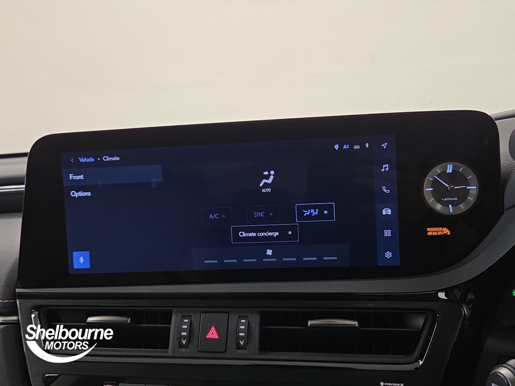 Lexus ES Es 300H Premium Edition Green #5