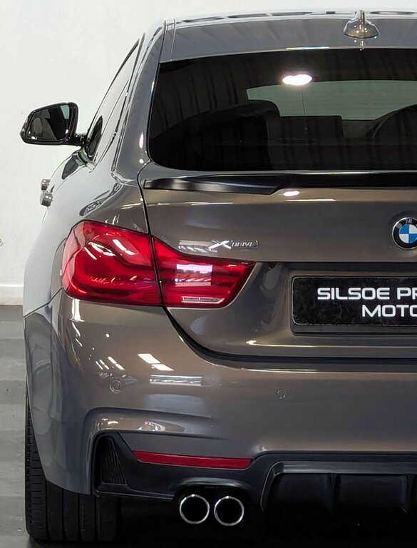 BMW 4 Series Gran Coupe Gran Coupe 2.0 420I Sport Euro 6 Ss Silver #10