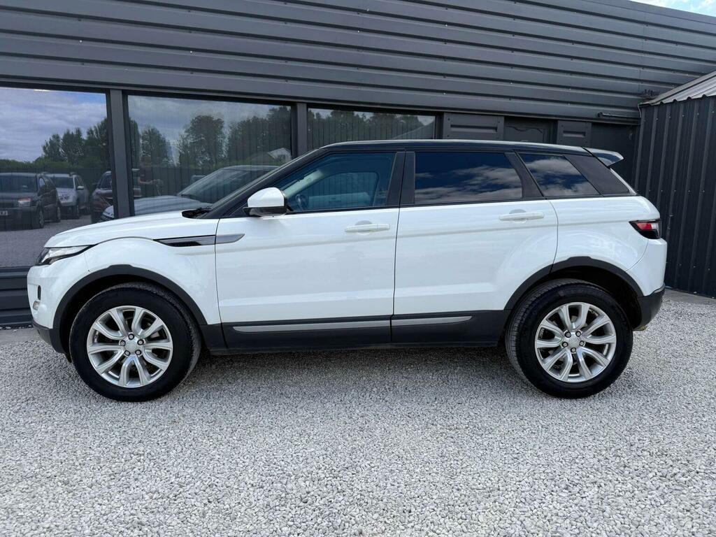 Land Rover Range Rover Evoque 2.2 Sd4 Pure Tech 4Wd Euro 5 Ss White #6