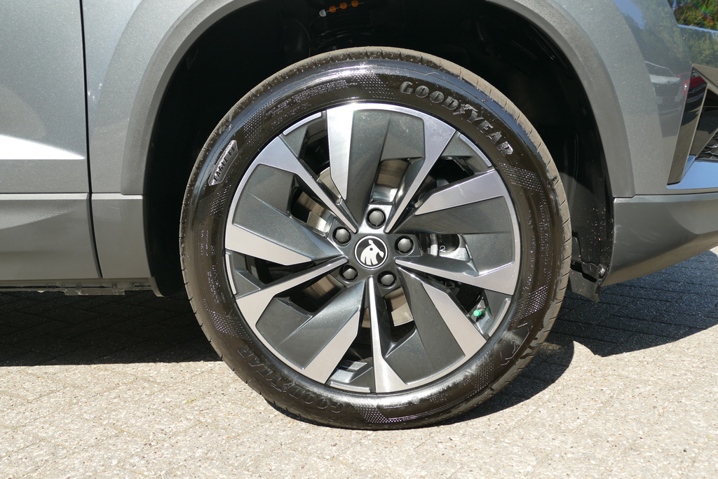 Skoda Karoq Karoq Se Edition 1.5 Tsi 150 Ps Dsg Grey #5