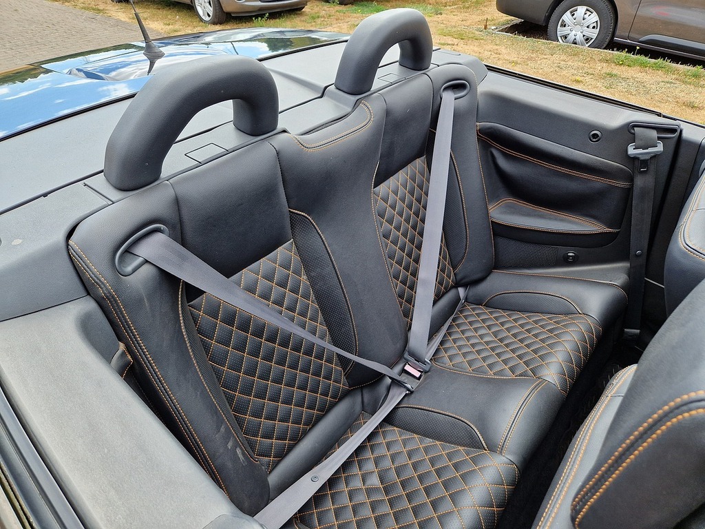 Renault Megane Hatchback 2.0 T Team F1 Team R26 200707 Black #19