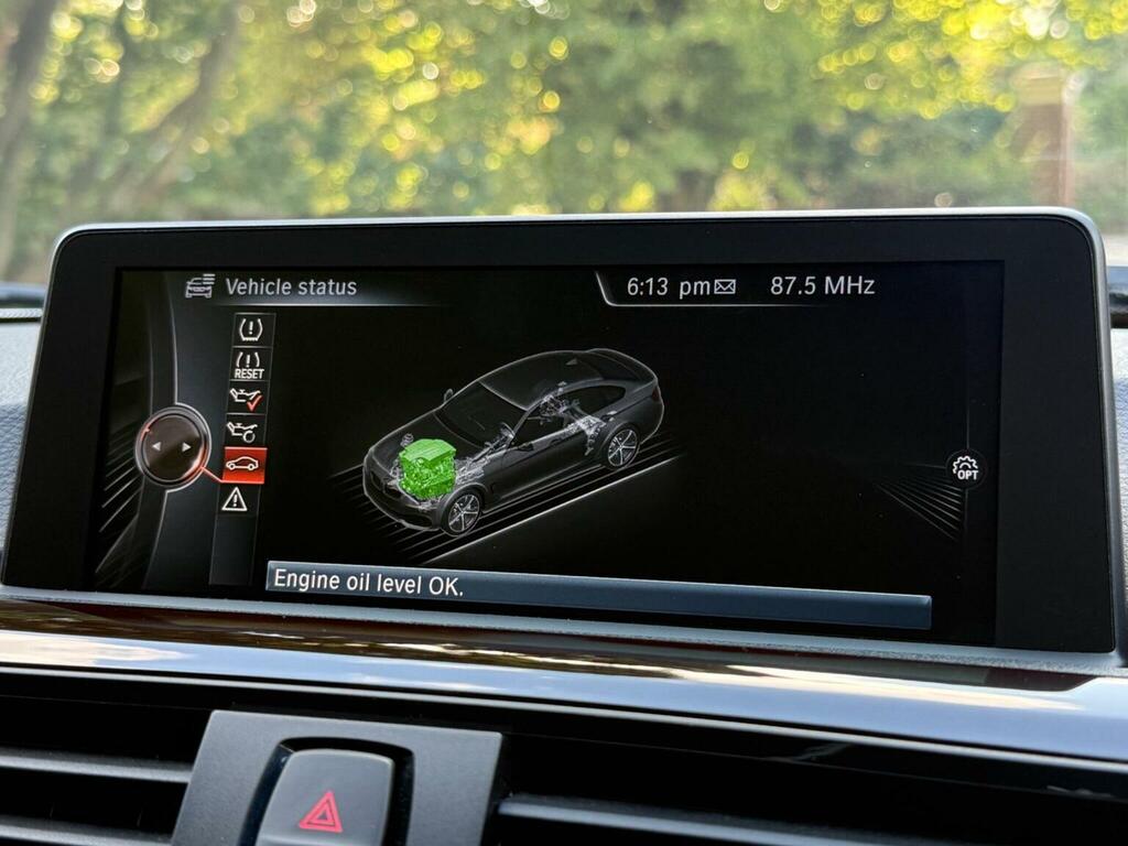 BMW 4 Series Gran Coupe 2.0 420D M Sport Gran Coupe 181 Bhp Grey #44