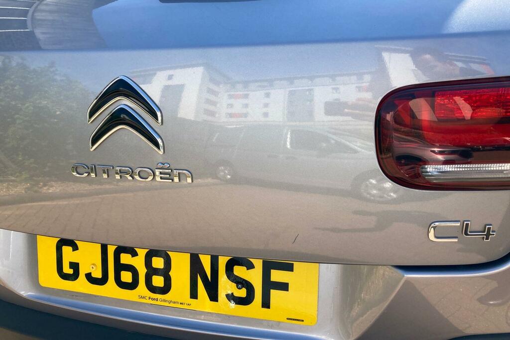 Citroen C4 Cactus 1.5 Bluehdi 120 Flair Eat6 Grey #24