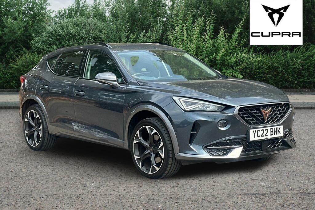 Cupra Formentor 2.0 Tsi 190 V2 Dsg 4Drive Grey
