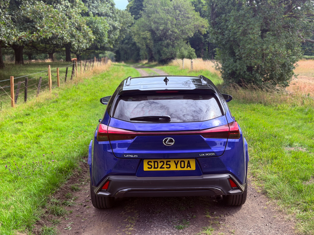 Lexus UX 2.0 F Sport Suv Hybrid E-cvt Euro 6 S #6