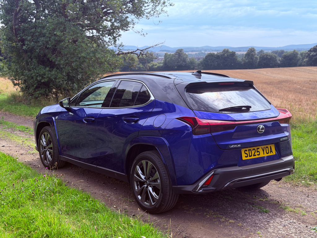 Lexus UX 2.0 300H F Sport Design Suv Hybrid E-cv #7