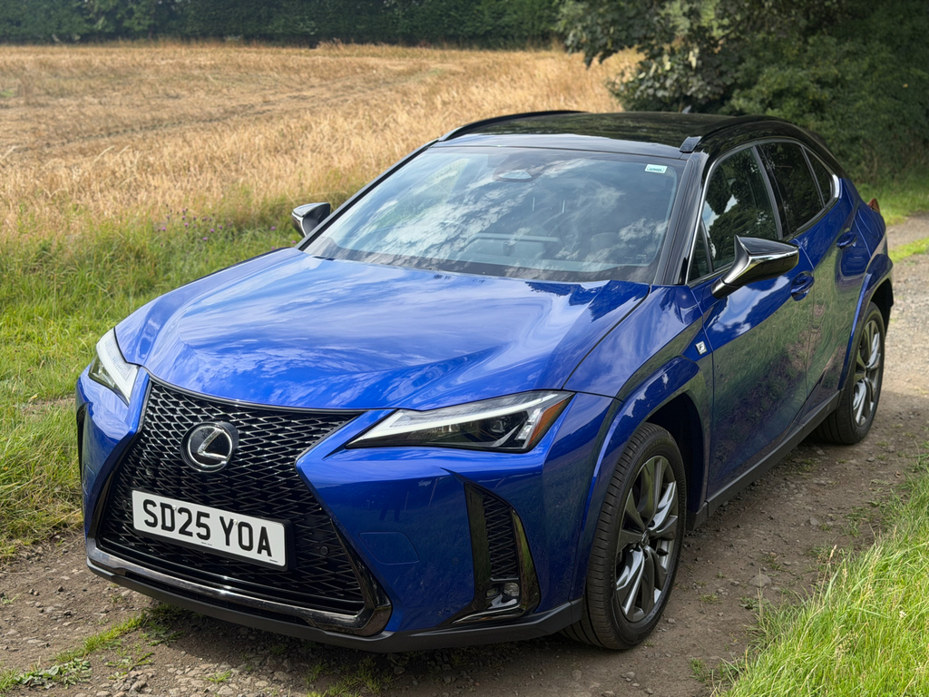 Lexus UX 2.0 300H F Sport Design Suv Hybrid E-cv #22