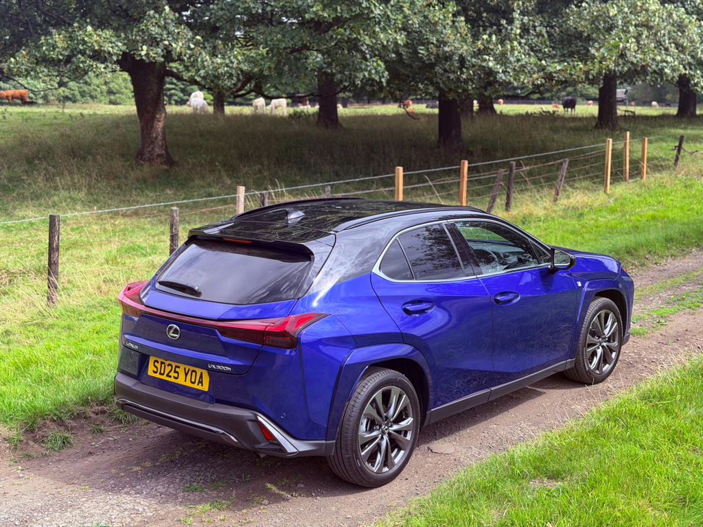 Lexus UX 2.0 F Sport Suv Hybrid E-cvt Euro 6 S #5