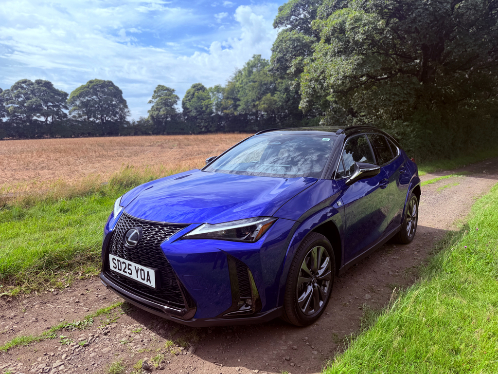 Lexus UX 2.0 300H F Sport Design Suv Hybrid E-cv #9