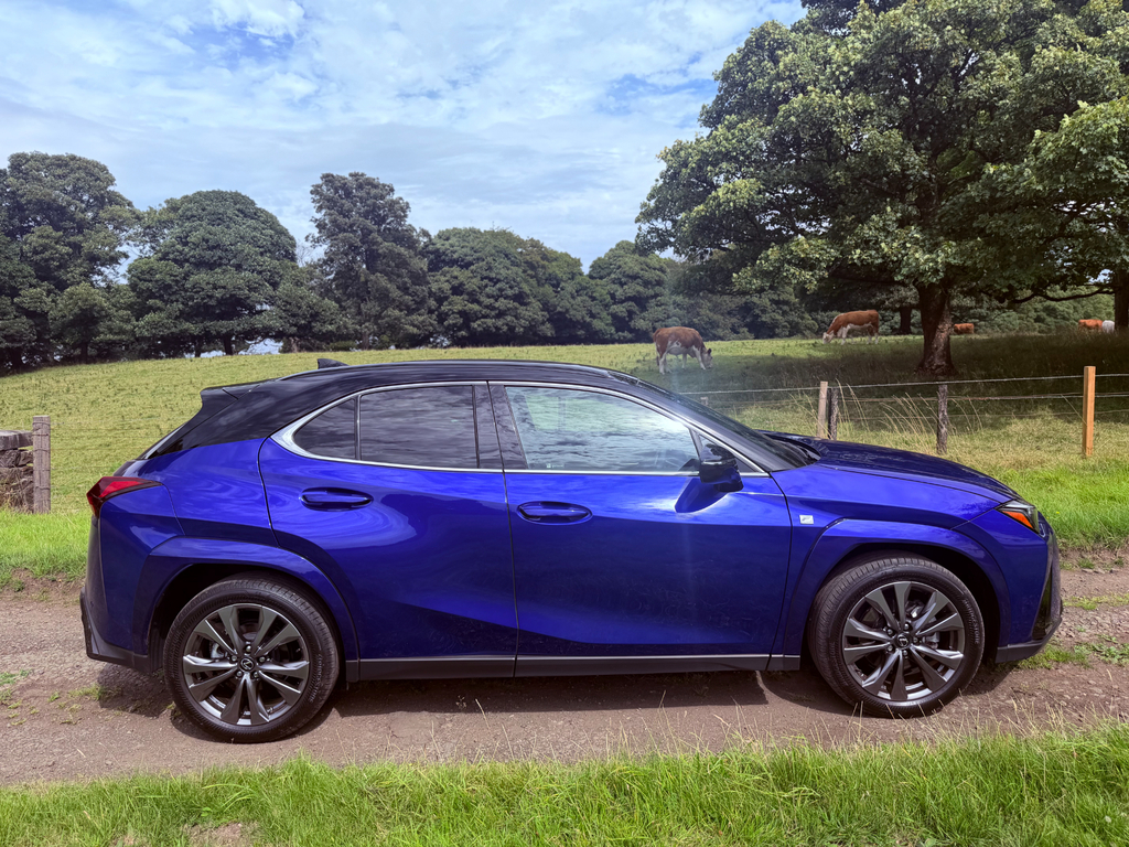 Lexus UX 2.0 F Sport Suv Hybrid E-cvt Euro 6 S #4