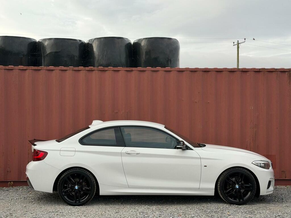 BMW 2 Series 2.0 220D Sport Euro 6 Ss Silver #30