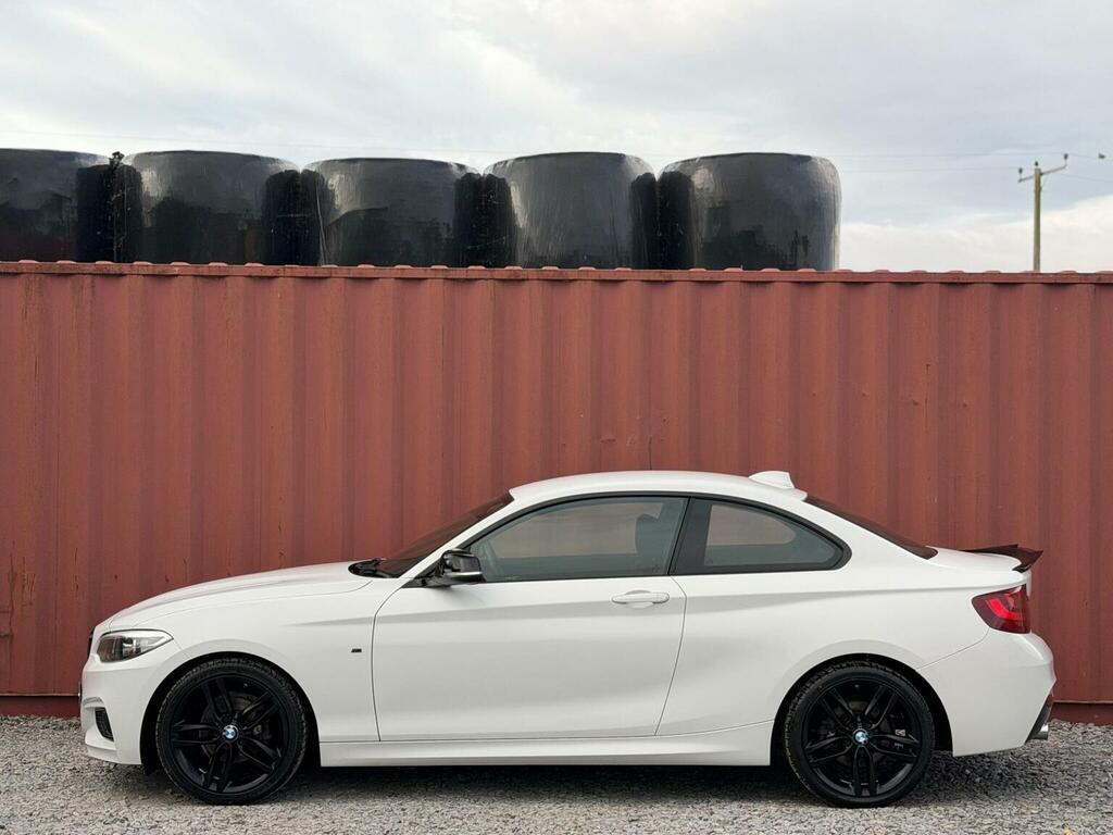 BMW 2 Series 2.0 220D Sport Euro 6 Ss Silver #13