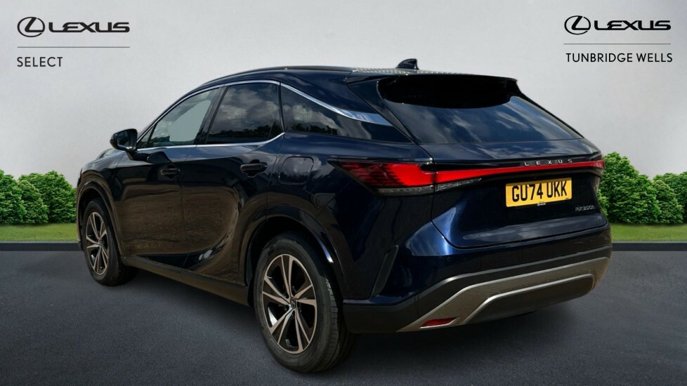 Lexus RX 2.5 350H Prem E-cvt 4Wd Euro 6 Ss Blue #2