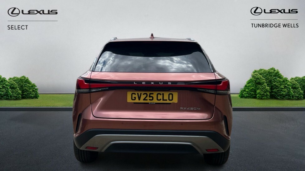 Lexus RX 2.5 450H 18.1Kwh Prem E-cvt 4Wd Euro 6 Ss Brown #5