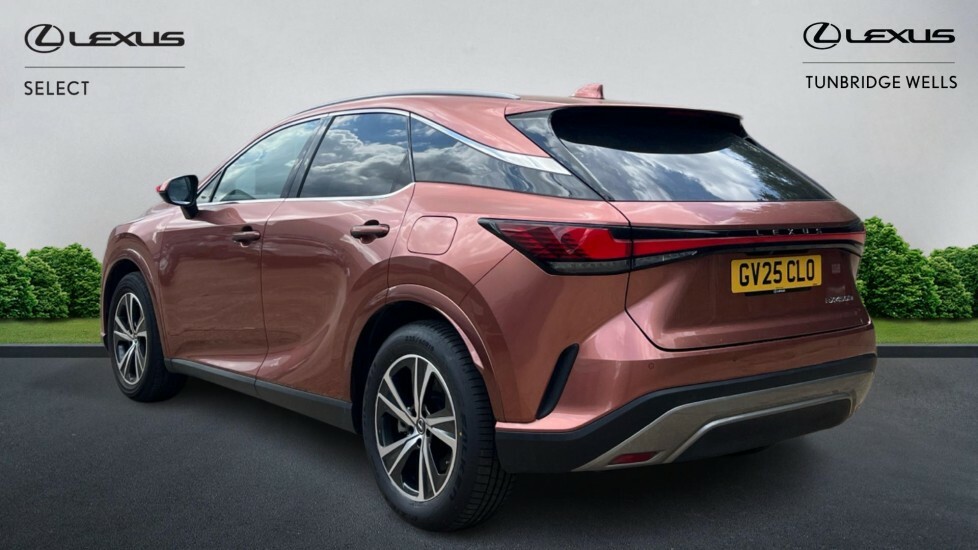 Lexus RX 2.5 450H 18.1Kwh Prem E-cvt 4Wd Euro 6 Ss Brown #2