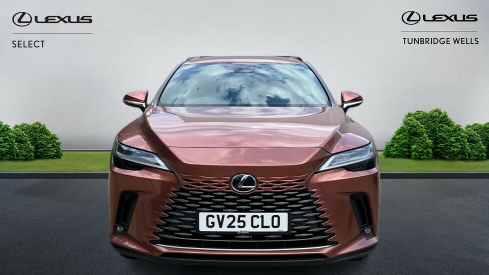 Lexus RX 2.5 450H 18.1Kwh Prem E-cvt 4Wd Euro 6 Ss Brown #4