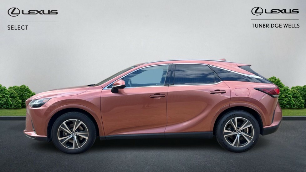 Lexus RX 2.5 450H 18.1Kwh Prem E-cvt 4Wd Euro 6 Ss Brown #3