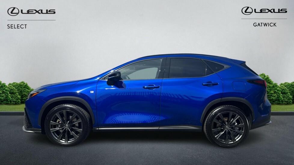 Lexus NX 2.5 450H 18.1Kwh F Sport Takumi E-cvt 4Wd Euro 6 Blue #3