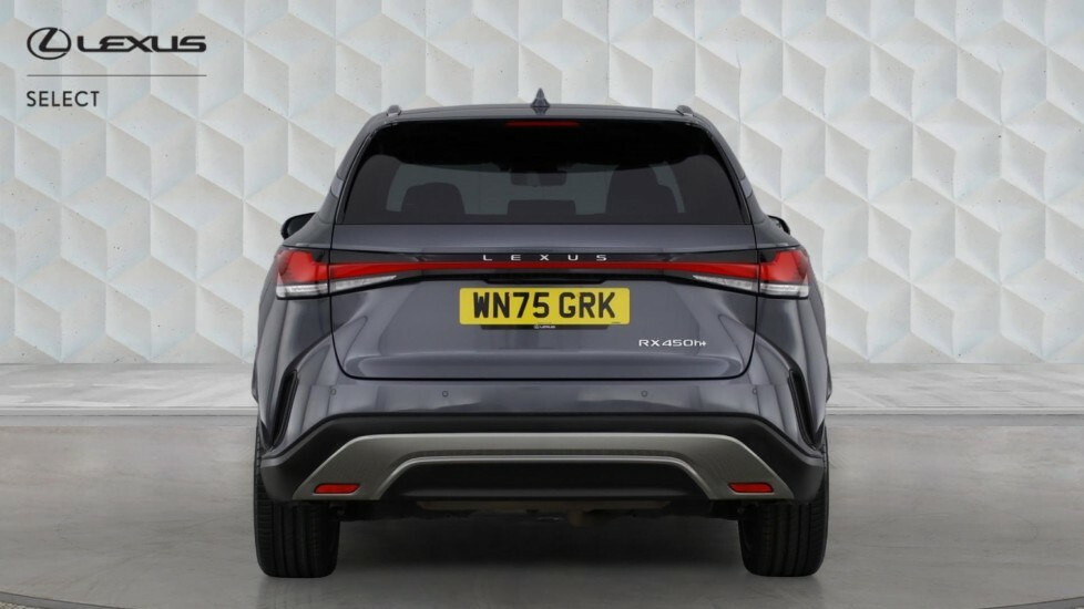Lexus RX 2.5 450H 18.1Kwh Takumi E-cvt 4Wd Euro 6 Ss Grey #5