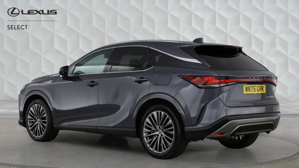 Lexus RX 2.5 450H 18.1Kwh Takumi E-cvt 4Wd Euro 6 Ss Grey #2