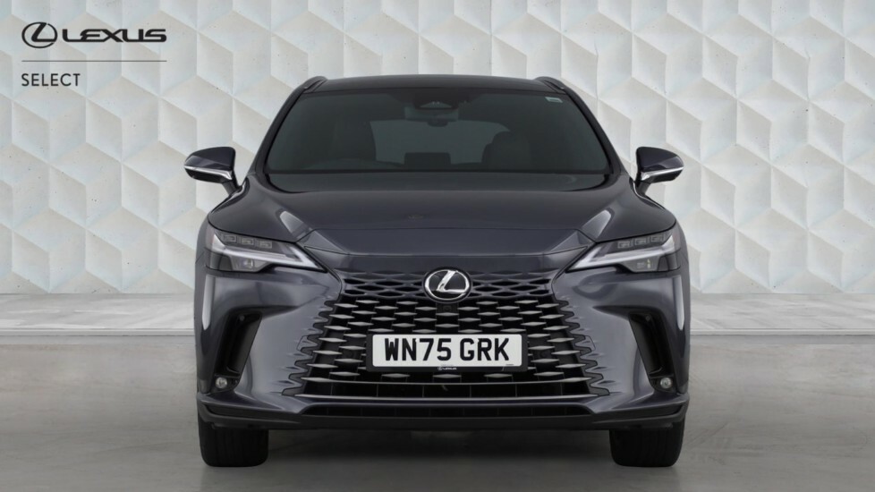 Lexus RX 2.5 450H 18.1Kwh Takumi E-cvt 4Wd Euro 6 Ss Grey #4