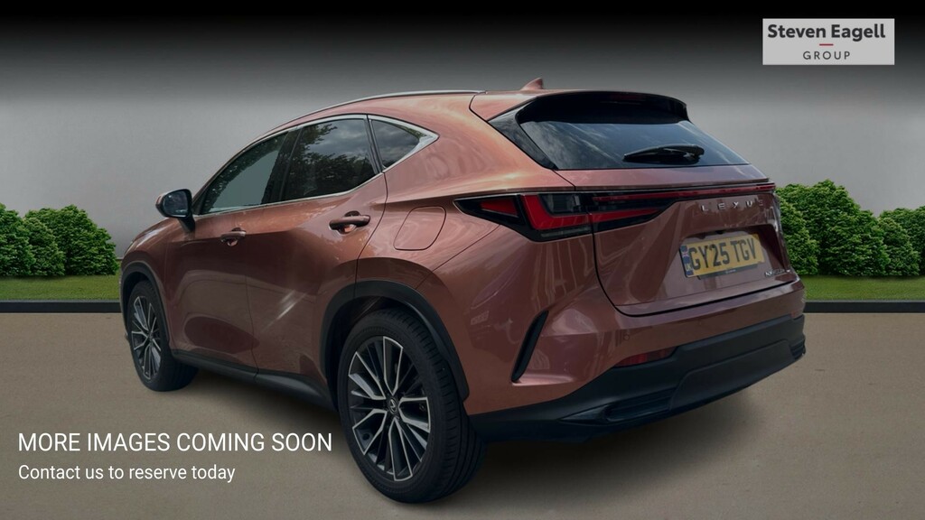 Lexus NX 2.5 450H 18.1Kwh Takumi E-cvt 4Wd Euro 6 Ss Brown #2