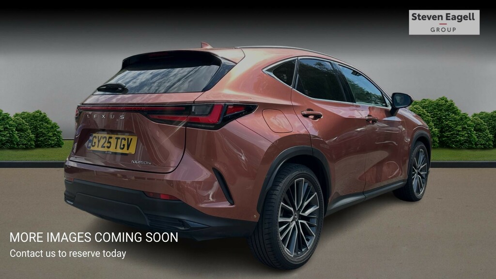 Lexus NX 2.5 450H 18.1Kwh Takumi E-cvt 4Wd Euro 6 Ss Brown #4