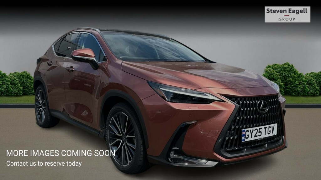 Lexus NX 2.5 450H 18.1Kwh Takumi E-cvt 4Wd Euro 6 Ss Brown