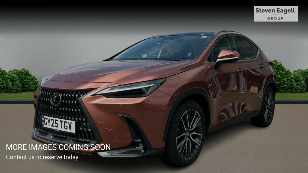Lexus NX 2.5 450H 18.1Kwh Takumi E-cvt 4Wd Euro 6 Ss Brown #3