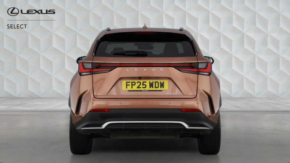 Lexus NX 2.5 450H 18.1Kwh F Sport Takumi E-cvt 4Wd Euro 6 #5