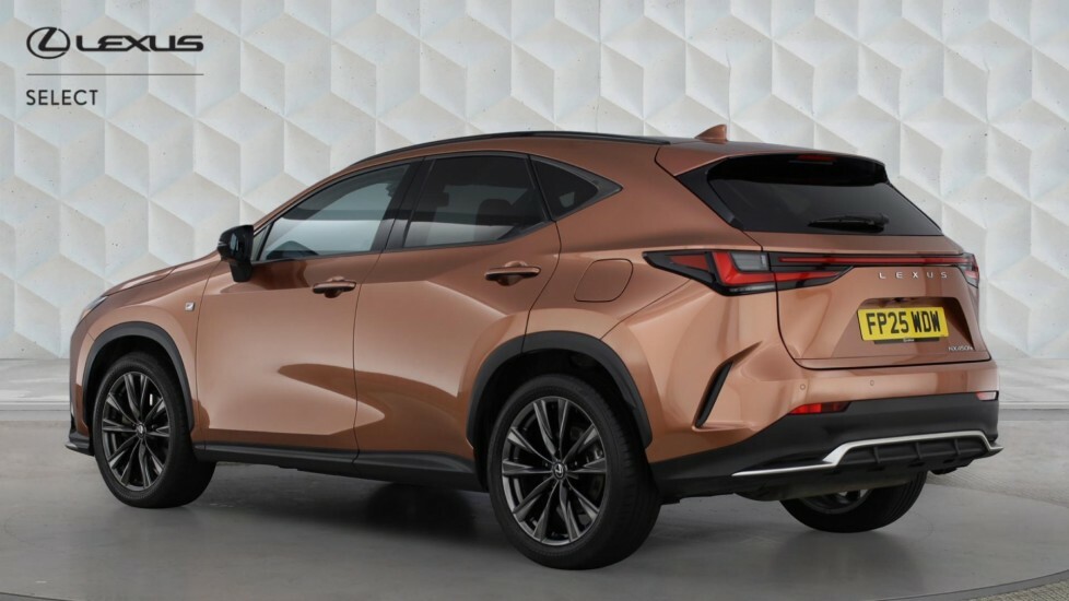 Lexus NX 2.5 450H 18.1Kwh F Sport Takumi E-cvt 4Wd Euro 6 #2