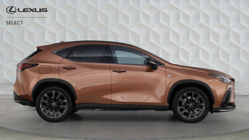 Lexus NX 350H 2.5 Takumi E-cvt Pan Roof #24