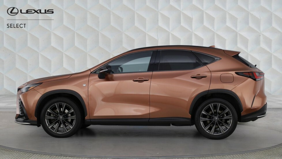 Lexus NX 2.5 450H 18.1Kwh F Sport Takumi E-cvt 4Wd Euro 6 #3