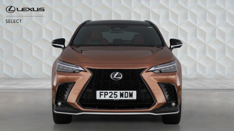 Lexus NX 2.5 450H 18.1Kwh F Sport Takumi E-cvt 4Wd Euro 6 #4