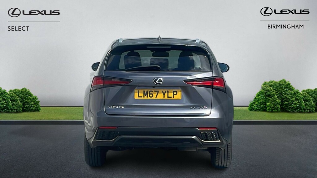 Lexus NX 2.5 300H F Sport E-cvt 4Wd Euro 6 Ss Grey #5